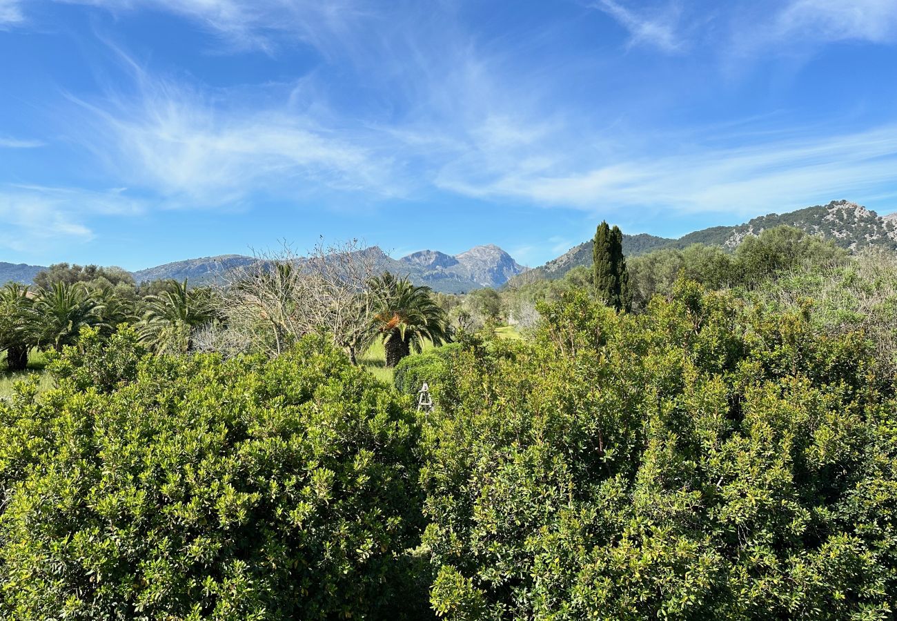 Country house in Pollensa / Pollença - Villa with park and pool