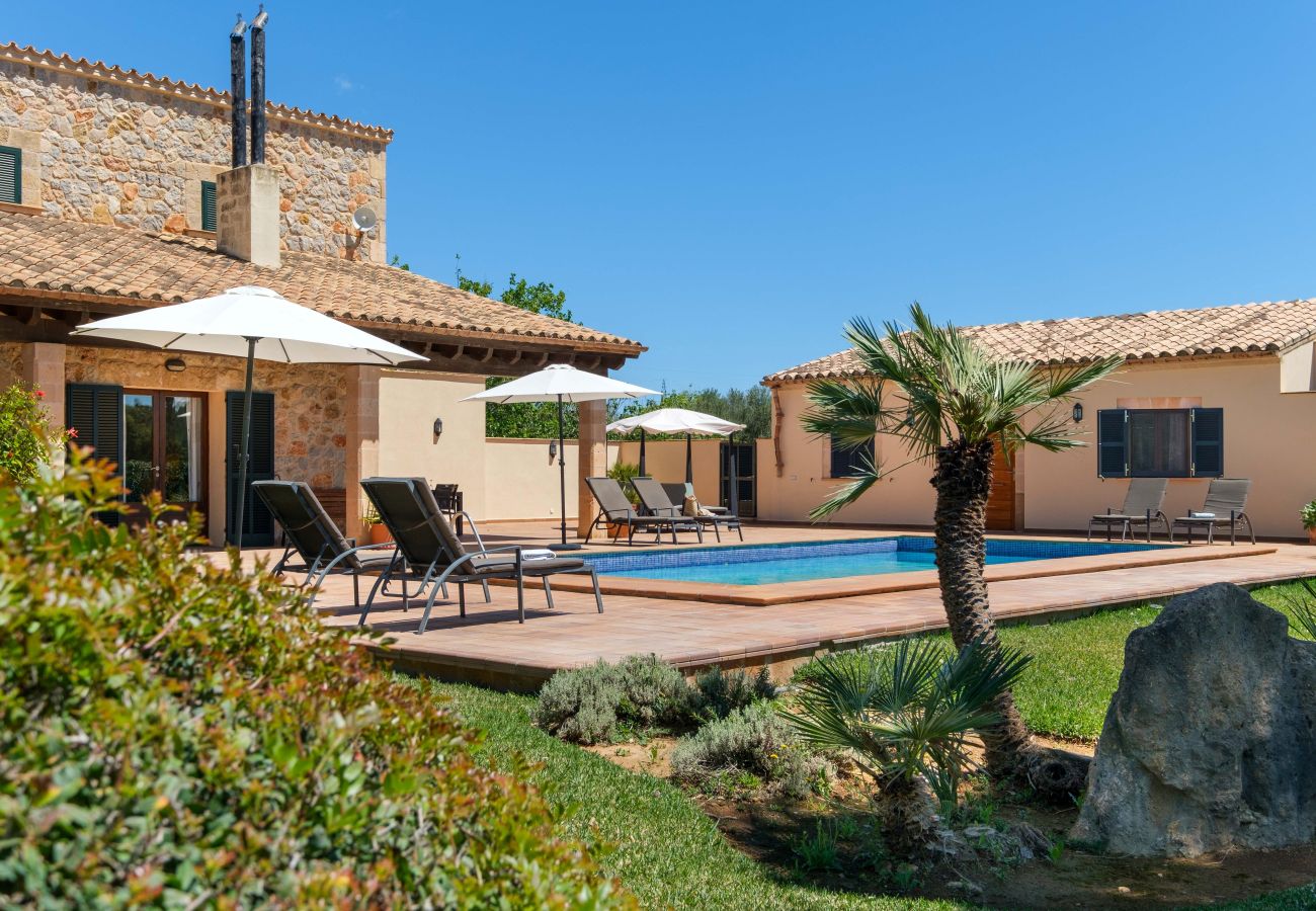 Country house in Pollensa / Pollença - Finca holiday with pool 