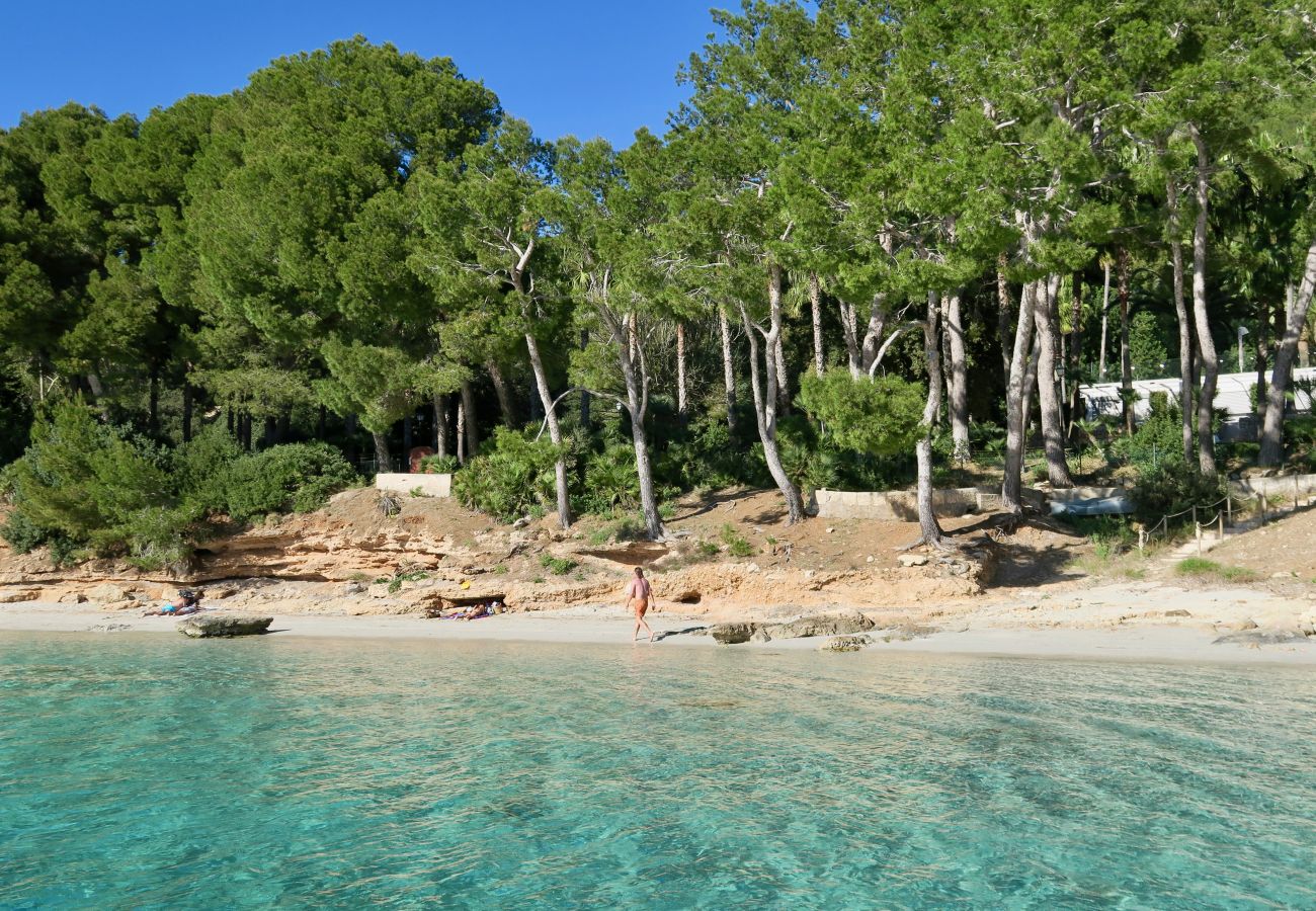 Finca in Pollensa / Pollença - Fincaurlaub Mallorca - mit Pool in Ternelles