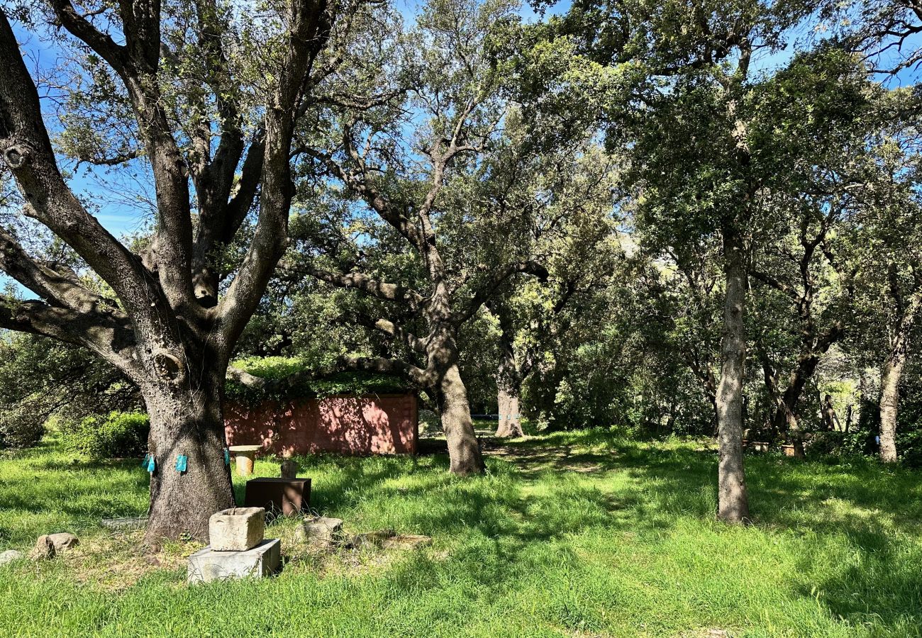 Finca in Pollensa / Pollença - Villa mit Park und Pool