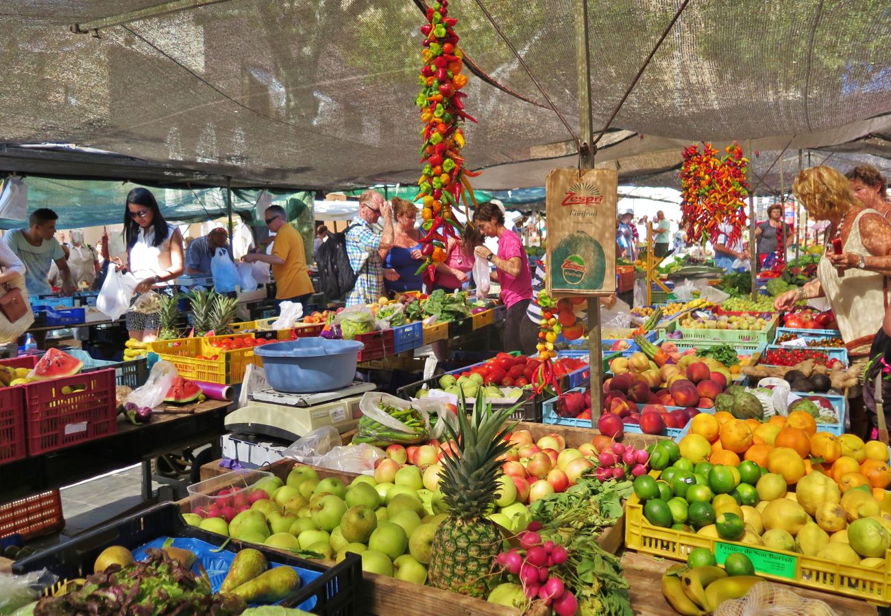 Finca in Pollensa / Pollença - Villa für Gruppenurlaub Pollença