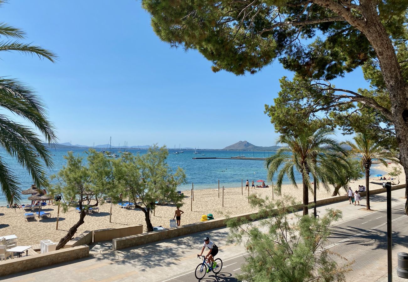 Ferienwohnung in Puerto Pollensa - Apartment am Meer  Pinewalk Puerto Pollença